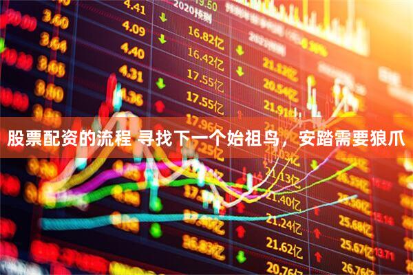 股票配资的流程 寻找下一个始祖鸟，安踏需要狼爪